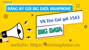 goi-big-data-vina