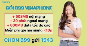 Cú pháp đăng ký gói B99 VinaPhone