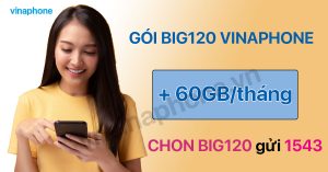 Gói BIG120 VinaPhone
