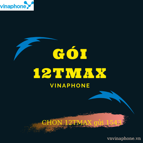 GOI-12TMAX-VINAPHONE