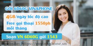 goi-6d60-vinaphone
