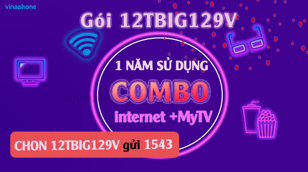goi-12TBIG129V-vina