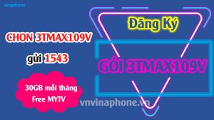 goi-3tmax109v-vinaphone