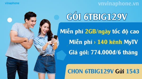 goi-6tbig129-vinaphone