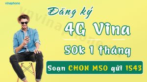 dang-ky-4g-vina-50k-1-thang