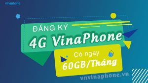 dang-ky-4g-vina-60gb-thang