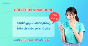 gói GO109 VinaPhone