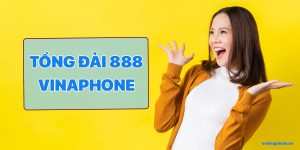tong-dai--888-vinaphone