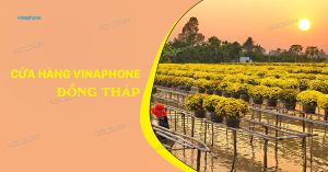 VinaPhone Đồng Tháp