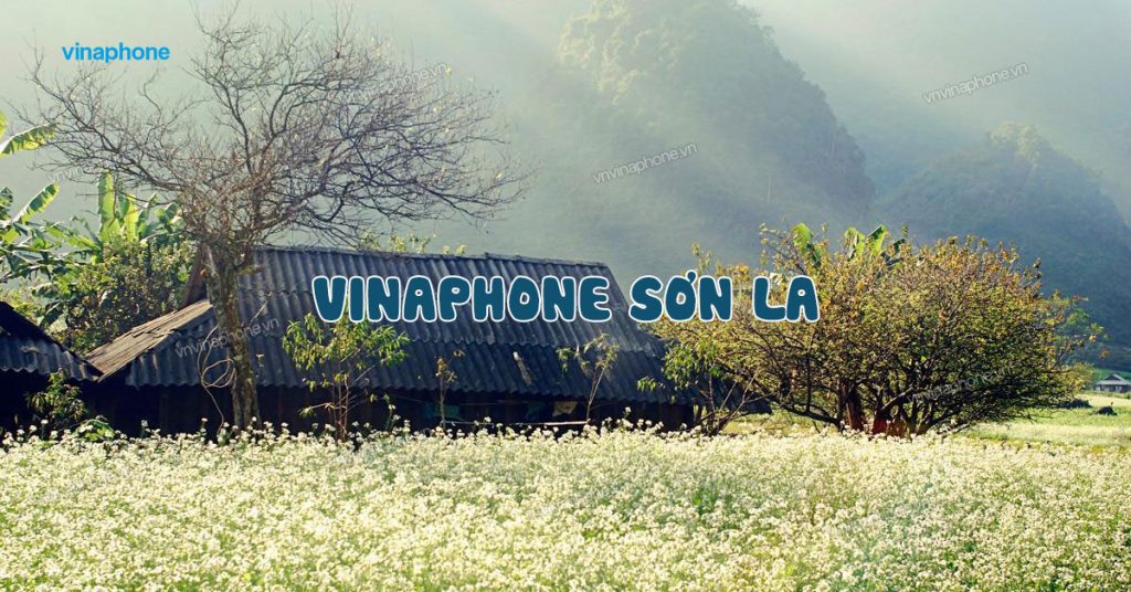 VinaPhone Sơn La