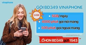 goi-bd349-vina-uu-dai-khung