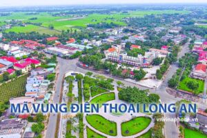 ma-vung-dien-thoai-long-an
