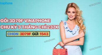 Gói 3D79F Vina Chu kỳ 3 Tháng Tặng 3GB Cùng Combo Gọi Thoại