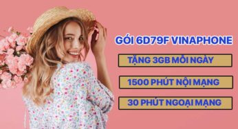 Gói 6D79F Vina Chu Kỳ 180 Ngày Hạt Dẻ Ưu Đãi Cao