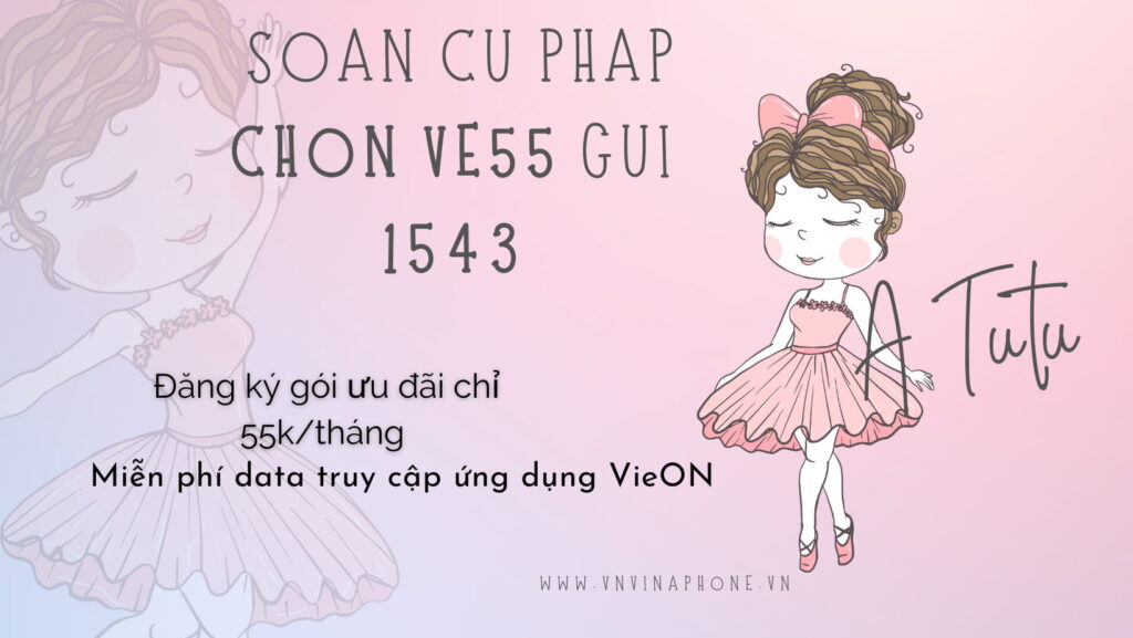 goi-ve-55-vinaphone