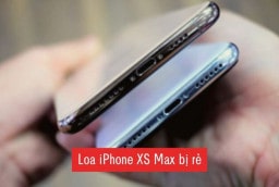 loa-iphone-xs-max-bi-re-avatar