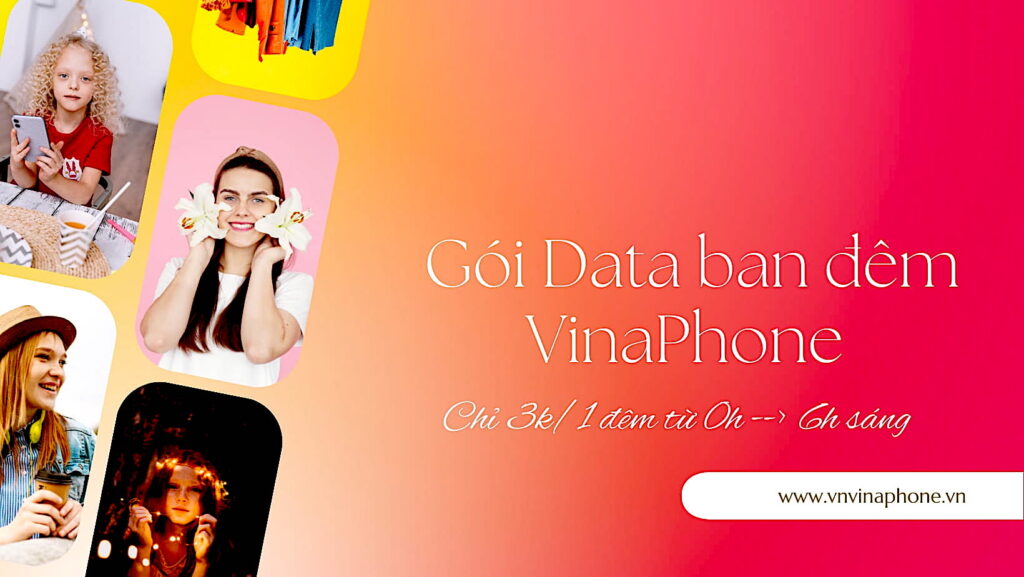 goi-data-ban-dem-vinaphone