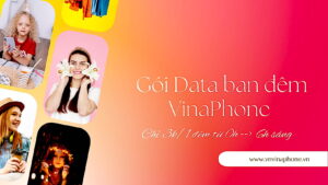 goi-data-ban-dem-vinaphone