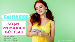goi-max100-vinaphone