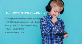 Cách Đăng Ký Gói 12TBIG120 VinaPhone