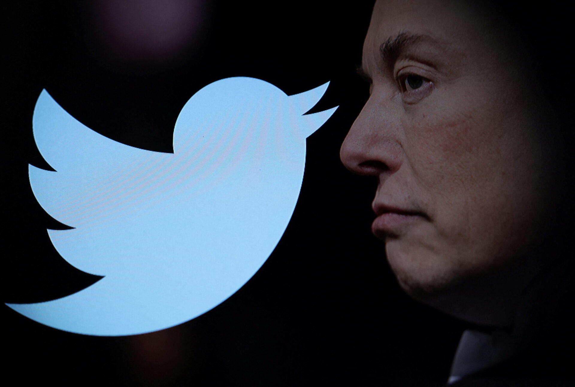 Elon Musk đã khiến Twitter rơi vào cảnh kinh tế khủng hoảng và cắt giảm nhiều quyền lợi của nhân viên.