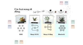 Các loại mạng di động