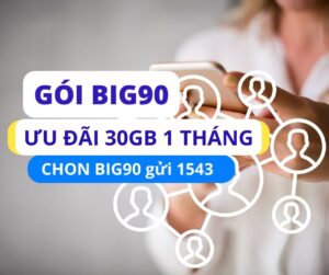 gia-han-goi-big90-vina