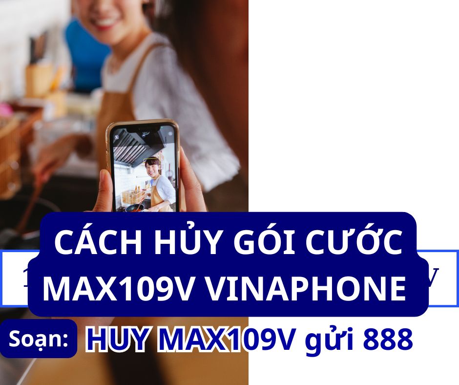 huy-goi-max109v-vina