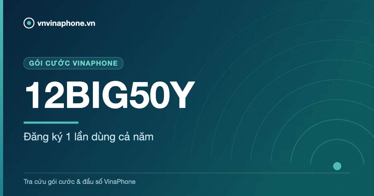 Đăng ký 1 lần dùng cả năm - 12BIG50Y