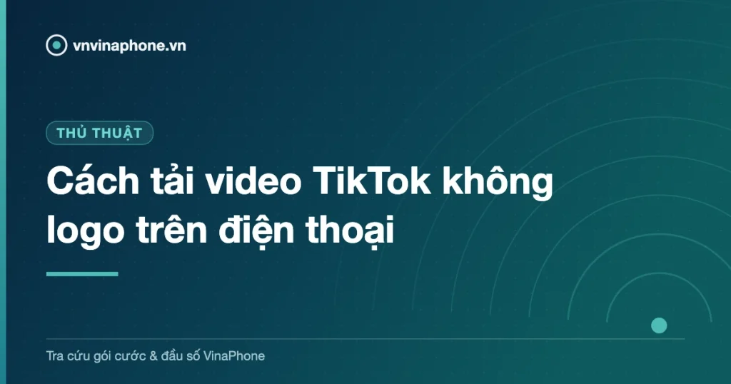 Cách tải video TikTok không logo trên điện thoại