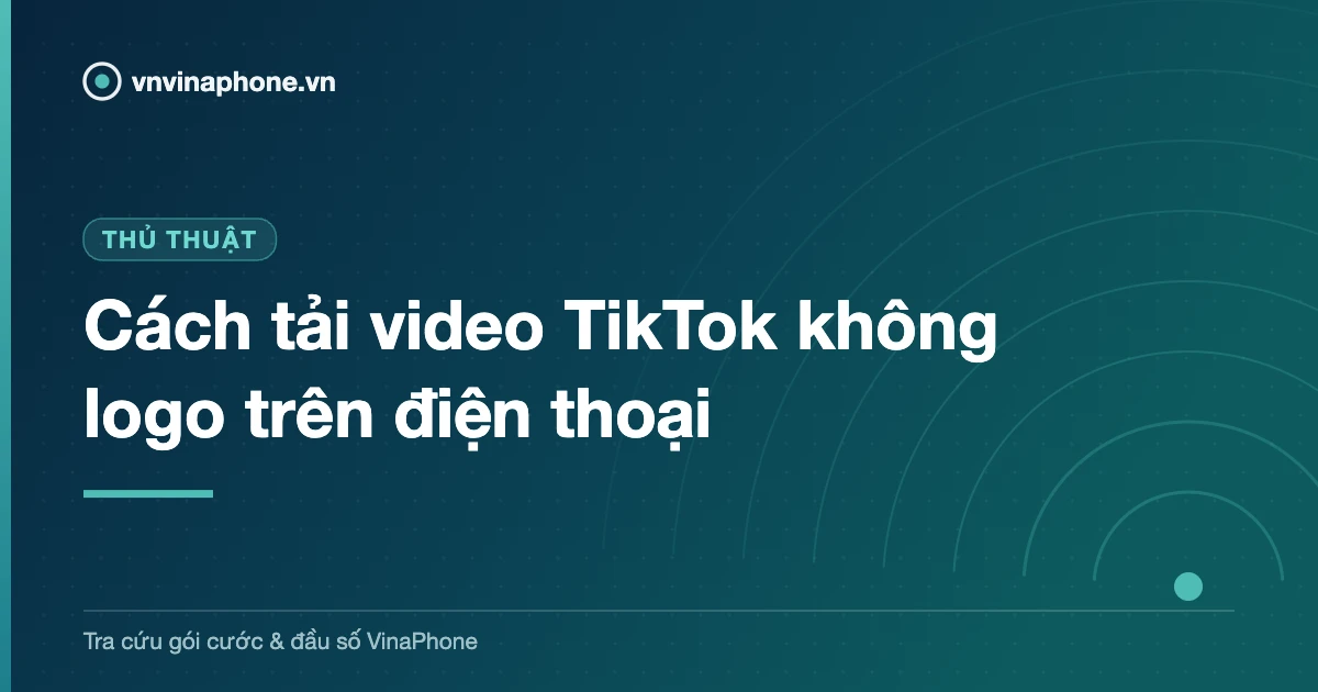 Cách tải video TikTok không logo trên điện thoại