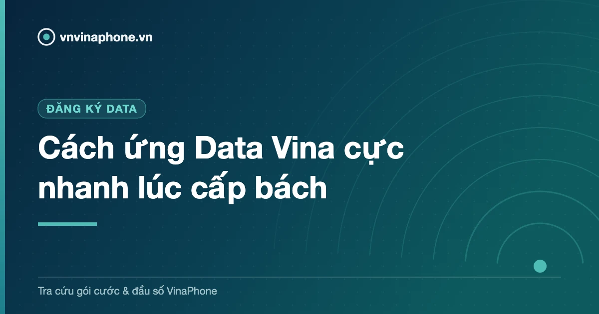 Cách ứng Data Vina cực nhanh lúc cấp bách