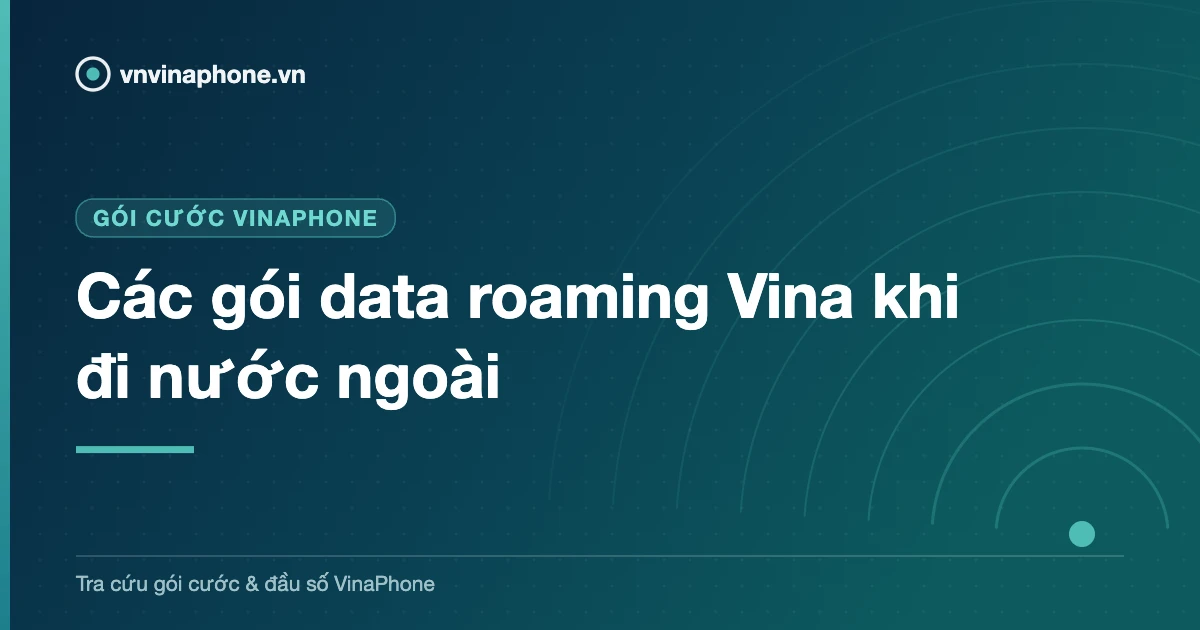 Các gói data roaming Vina khi đi nước ngoài