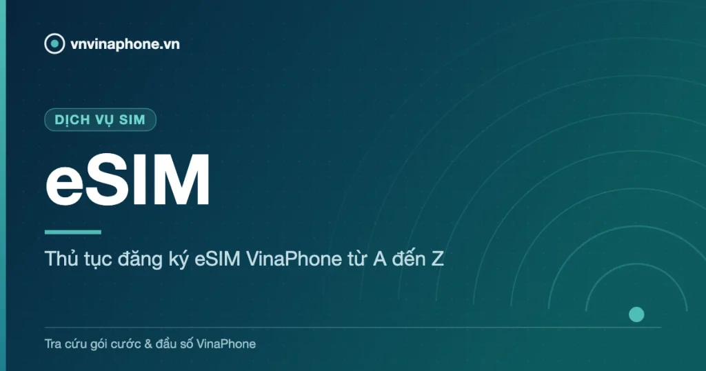 Thủ tục đăng ký eSIM VinaPhone từ A đến Z - eSIM