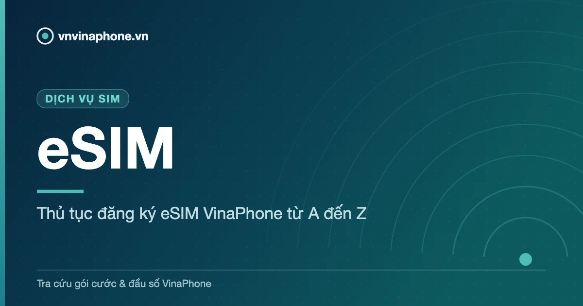 Thủ tục đăng ký eSIM VinaPhone từ A đến Z - eSIM