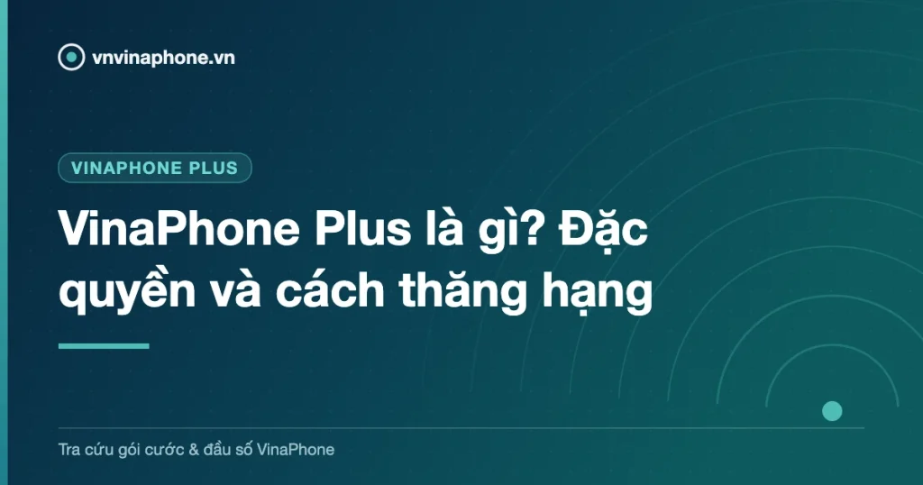 VinaPhone Plus là gì? Đặc quyền và cách thăng hạng