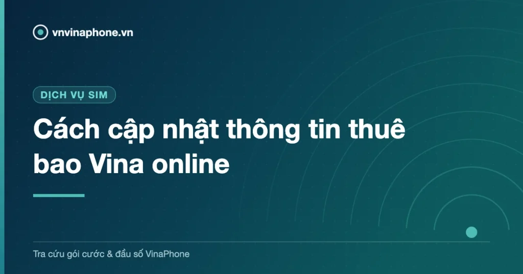 Cách cập nhật thông tin thuê bao Vina online