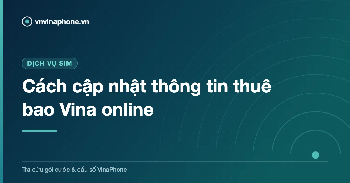Cách cập nhật thông tin thuê bao Vina online